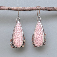 Load image into Gallery viewer, Fossil Coral Bloom Earrings