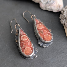 Load image into Gallery viewer, Late Summer Bloom Fossil Coral Asymmetricals