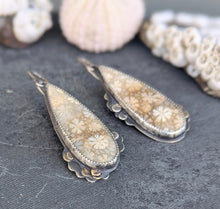 Load image into Gallery viewer, Fossilized Coral Asymmetricals