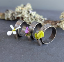 Load image into Gallery viewer, Forest Collector's Ring - size 6.75