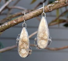 Load image into Gallery viewer, Fossilized Coral Asymmetricals