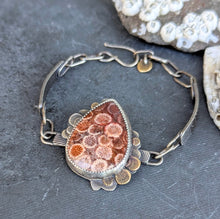 Load image into Gallery viewer, Fossilized Coral Bracelet