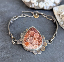 Load image into Gallery viewer, Fossilized Coral Bracelet