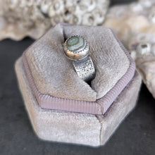Load image into Gallery viewer, Jasper Tidepool Ring - size 6