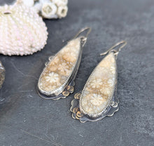 Load image into Gallery viewer, Fossilized Coral Asymmetricals