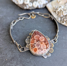 Load image into Gallery viewer, Fossilized Coral Bracelet