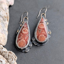 Load image into Gallery viewer, Late Summer Bloom Fossil Coral Asymmetricals