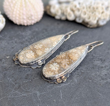 Load image into Gallery viewer, Fossilized Coral Asymmetricals