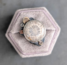 Load image into Gallery viewer, Fossil Coral Bloom Ring - 8