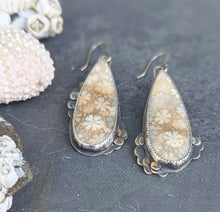 Load image into Gallery viewer, Fossilized Coral Asymmetricals