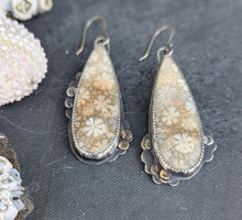 Load image into Gallery viewer, Fossilized Coral Asymmetricals