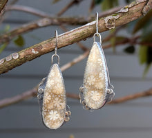 Load image into Gallery viewer, Fossilized Coral Asymmetricals