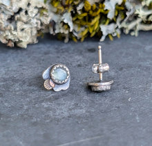 Load image into Gallery viewer, Green Kyanite Forest Floor Earrings