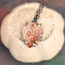 Load image into Gallery viewer, Fossil Coral Prong Necklace
