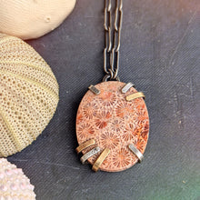 Load image into Gallery viewer, Fossil Coral Prong Necklace
