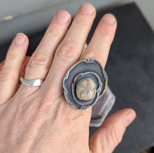 Load image into Gallery viewer, Fossilized Sand Dollar Statement Ring - size 9.75
