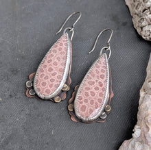 Load image into Gallery viewer, Fossil Coral Bloom Earrings
