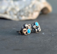 Load image into Gallery viewer, Turquoise Barnacle Earrings
