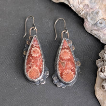 Load image into Gallery viewer, Late Summer Bloom Fossil Coral Asymmetricals
