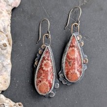 Load image into Gallery viewer, Late Summer Bloom Fossil Coral Asymmetricals
