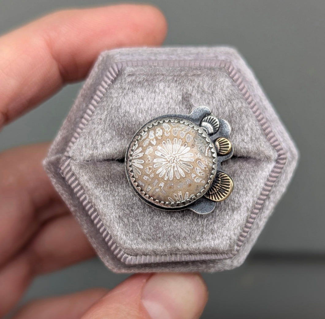 Fossil Coral Bloom Ring - 7