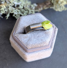 Load image into Gallery viewer, Forest Collector&#39;s Ring - size 8.25
