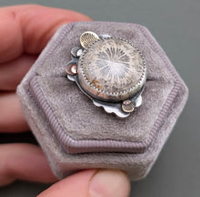 Load image into Gallery viewer, Fossil Coral Bloom Ring - 8
