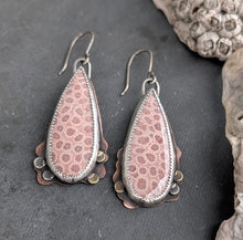 Load image into Gallery viewer, Fossil Coral Bloom Earrings
