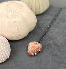 Load image into Gallery viewer, Fossil Coral Prong Necklace
