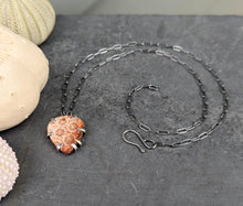 Load image into Gallery viewer, Fossil Coral Prong Necklace
