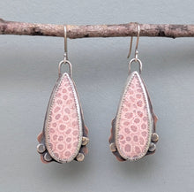 Load image into Gallery viewer, Fossil Coral Bloom Earrings
