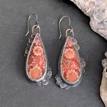 Load image into Gallery viewer, Late Summer Bloom Fossil Coral Asymmetricals

