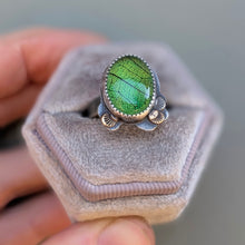Load image into Gallery viewer, New Growth Ring - size 6.75
