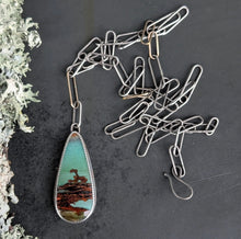 Load image into Gallery viewer, Opalized Wood Specimen Necklace
