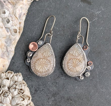 Load image into Gallery viewer, Coastal Dreams Barnacle Earrings
