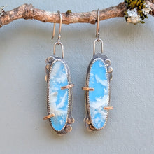 Load image into Gallery viewer, Cloud Bathing Earrings
