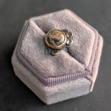 Load image into Gallery viewer, Ocean Jasper Forest Floor Ring  - size 6
