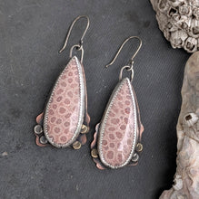 Load image into Gallery viewer, Fossil Coral Bloom Earrings
