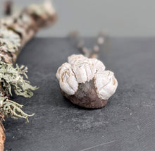 Load image into Gallery viewer, Beach Stone Necklace with Handmade Chain
